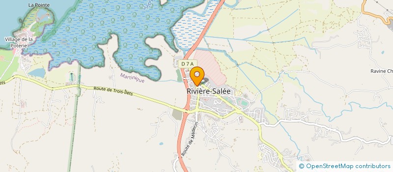localisation de l'entreprise TABAC DU SUD à RIVIERE-SALEE