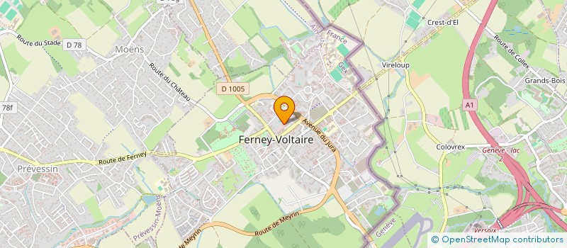 localisation de l'entreprise TABAC VOLTAIRE ROINARD  FERNEY-VOLTAIRE