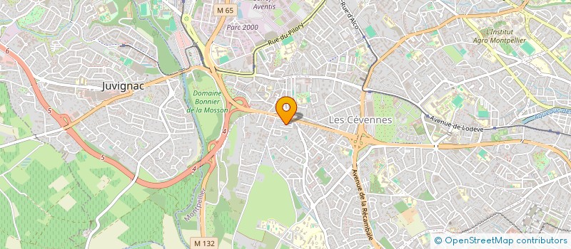 localisation de l'entreprise TACOS ONE à MONTPELLIER