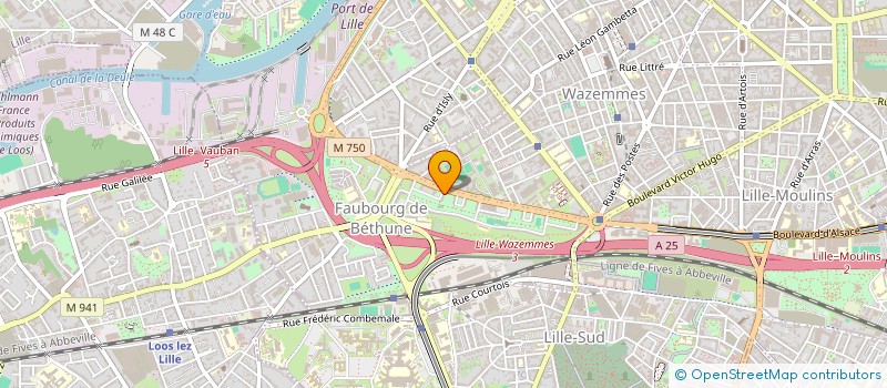 localisation de l'entreprise TAE KWON DO LILLE à LILLE