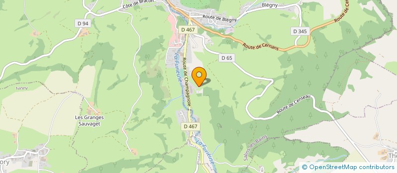 localisation de l'entreprise TAG  SALINS-LES-BAINS