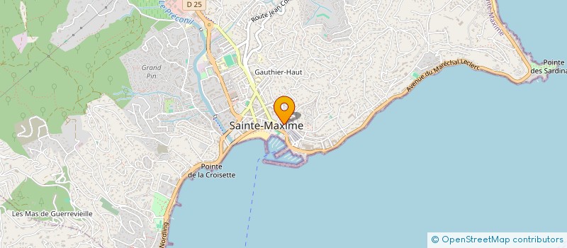 localisation de l'entreprise TAJ MAHAL à SAINTE-MAXIME