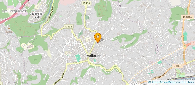 localisation de l'entreprise TALASA à VALLAURIS