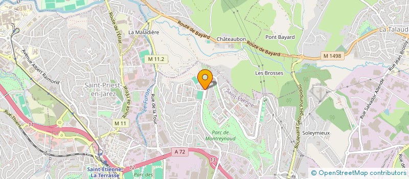 localisation de l'entreprise TALIPS  SAINT-ETIENNE