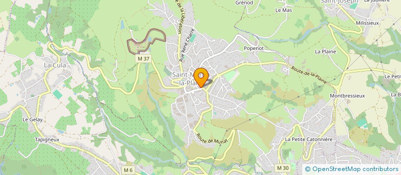 localisation de l'entreprise TAM RACING à SAINT-MARTIN-LA-PLAINE