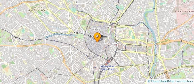 localisation de l'entreprise TAMALE SARL à MONTPELLIER
