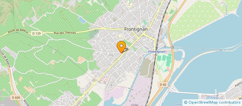 localisation de l'entreprise TAMALOU, DANSE ET MUSIQUE à FRONTIGNAN