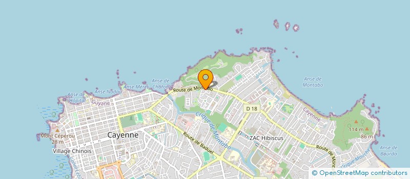 localisation de l'entreprise TAMANOIR LES VERTS GUYANE à CAYENNE