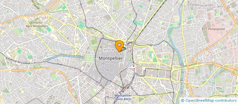localisation de l'entreprise TAMATA TATTOO à MONTPELLIER