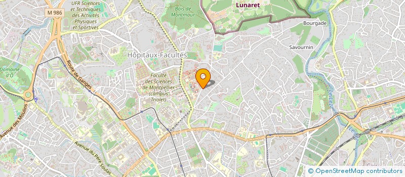 localisation de l'entreprise TAMAZGHA à MONTPELLIER