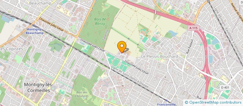 localisation de l'entreprise TAMG DEVELOPPEMENT  LE PLESSIS-BOUCHARD