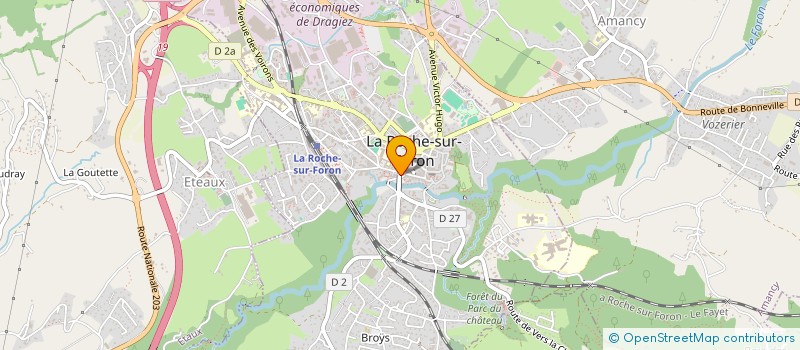 localisation de l'entreprise TANERICE IMMO  LA ROCHE-SUR-FORON