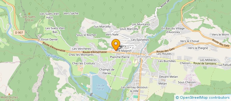 localisation de l'entreprise TANINGES DISTRIBUTION à TANINGES