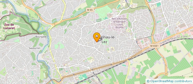 localisation de l'entreprise TAOE MANAGEMENT à CASTELNAU-LE-LEZ