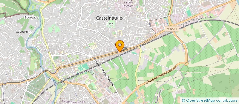 localisation de l'entreprise TAPIERO & CO à CASTELNAU-LE-LEZ