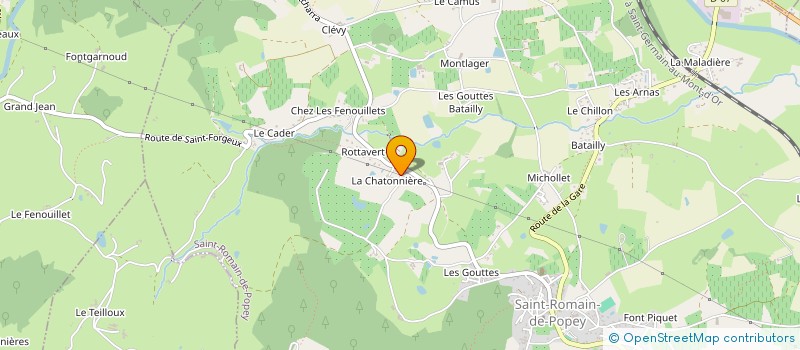 localisation de l'entreprise TARARE VIANDES à SAINT-ROMAIN-DE-POPEY