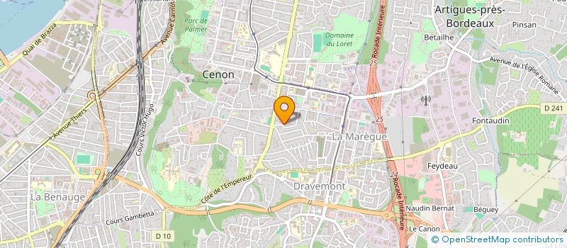 localisation de l'entreprise TASK FORCE INFORMATIQUE  CENON