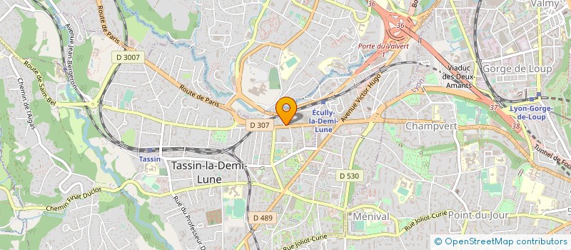 localisation de l'entreprise TASSIN AUTOMOBILES à TASSIN-LA-DEMI-LUNE