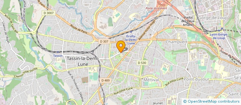 localisation de l'entreprise TASSIN IMMOBILIER  TASSIN-LA-DEMI-LUNE