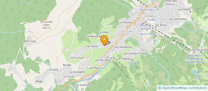 localisation de l'entreprise TASTE THE ALPS à LES GETS