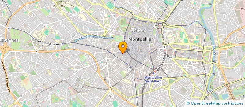localisation de l'entreprise TASTY FOOD à MONTPELLIER