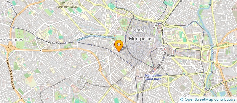 localisation de l'entreprise TASTY TACOS PIZZA à MONTPELLIER