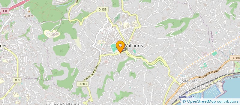 localisation de l'entreprise TAXI A.B.T  VALLAURIS