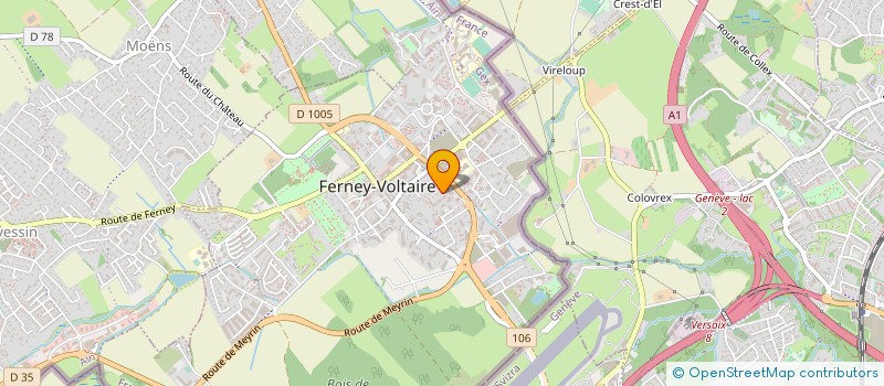 localisation de l'entreprise TAXI ADAM à FERNEY-VOLTAIRE