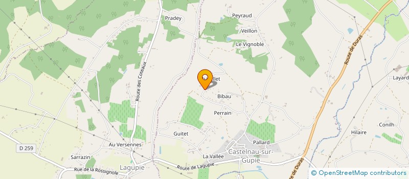 localisation de l'entreprise TAXI ANNE  CASTELNAU-SUR-GUPIE