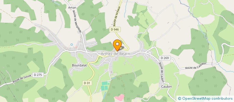 localisation de l'entreprise TAXI ARTHEZIEN  ARTHEZ-DE-BEARN