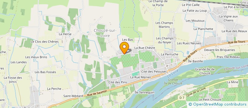 localisation de l'entreprise TAXI BREZULIER  CHOUZE-SUR-LOIRE