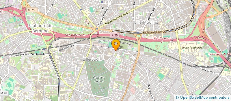 localisation de l'entreprise TAXI CARS LILLE à LILLE