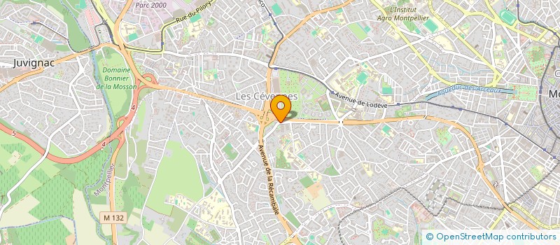 localisation de l'entreprise TAXI CERONNE à MONTPELLIER