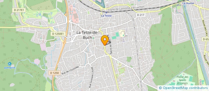 localisation de l'entreprise TAXI DU BASSIN SARL  LA TESTE DE BUCH