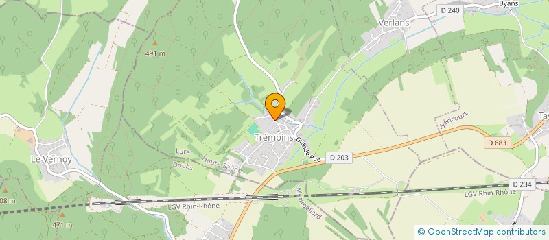 localisation de l'entreprise TAXI DU LION  TREMOINS