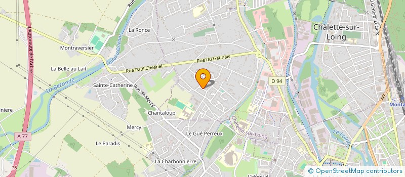 localisation de l'entreprise TAXI LEYYA à CHALETTE-SUR-LOING
