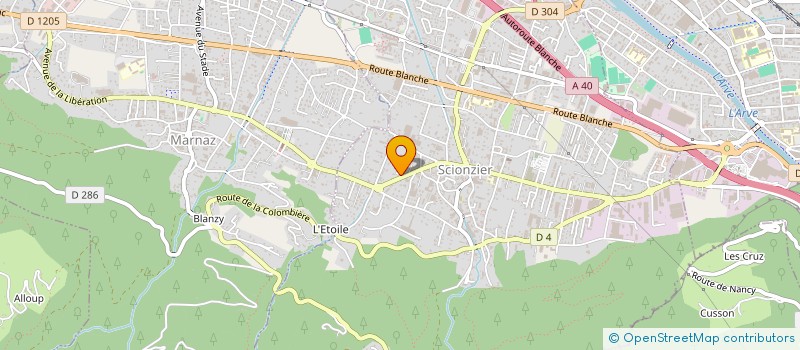 localisation de l'entreprise TAXI MALGRAND  SCIONZIER