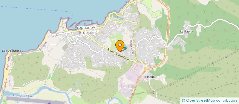 localisation de l'entreprise TAXI PROPRIANO  PROPRIANO