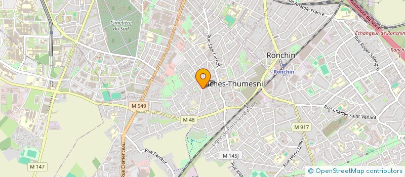 localisation de l'entreprise TAXI RED à FACHES-THUMESNIL