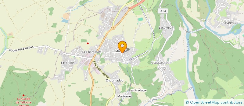 localisation de l'entreprise TAXI S.P TAULEMESSE  CUSSAC-SUR-LOIRE