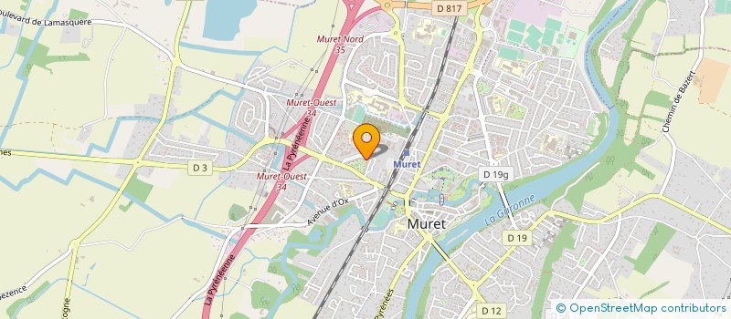 localisation de l'entreprise TAXI SERVICE 31  MURET