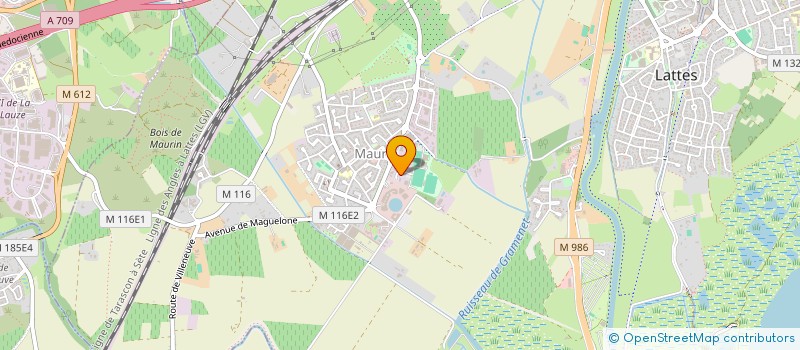 localisation de l'entreprise TAXI SYLVIA à LATTES