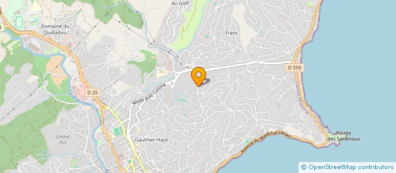 localisation de l'entreprise TAXIS CHANCOIGNE à SAINTE-MAXIME