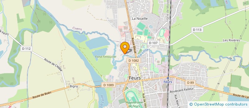 localisation de l'entreprise TAXIS DU FOREZ  FEURS