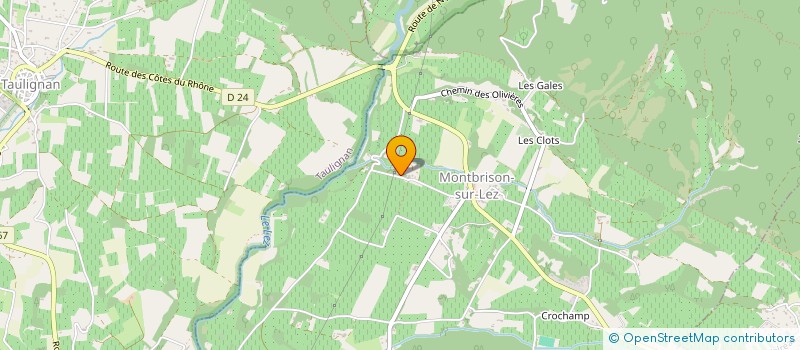 localisation de l'entreprise TAXIS MONTBRISONNAIS  MONTBRISON-SUR-LEZ