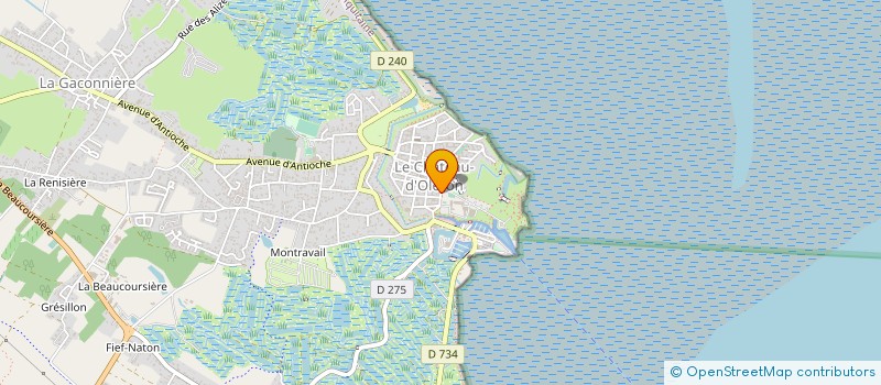 localisation de l'entreprise TCCO TEAM CYCLISTE LE CHATEAU D'OLERON  LE CHATEAU-D'OLERON