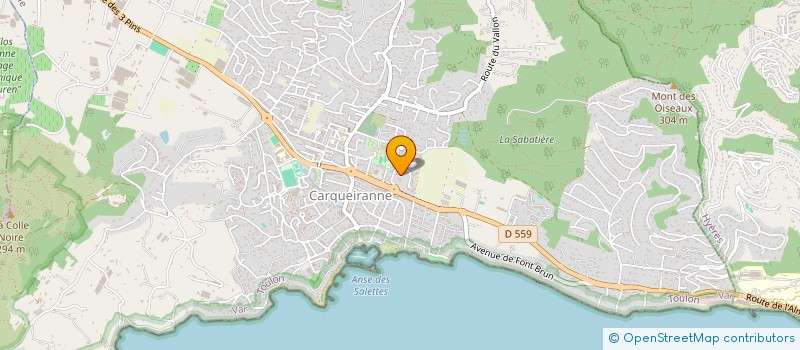 localisation de l'entreprise TD SERVICE  CARQUEIRANNE