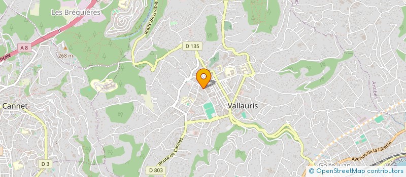 localisation de l'entreprise TDR à VALLAURIS