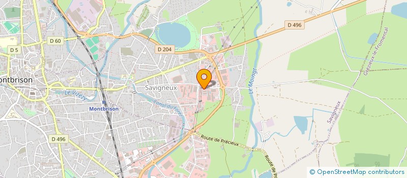 localisation de l'entreprise TDS - TRANSPORTS DE SAVIGNEUX  SAVIGNEUX