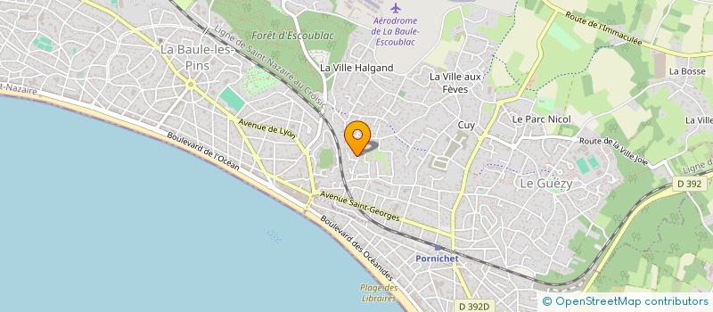 localisation de l'entreprise TE MAU MOTU  LA BAULE-ESCOUBLAC